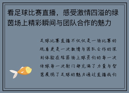看足球比赛直播，感受激情四溢的绿茵场上精彩瞬间与团队合作的魅力