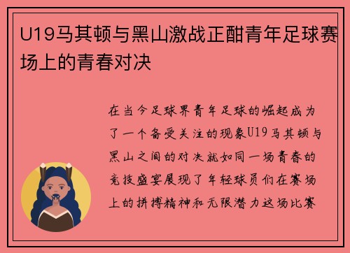 U19马其顿与黑山激战正酣青年足球赛场上的青春对决